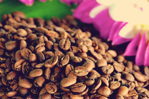 SHOP 100% Kona Coffee - Whole Bean